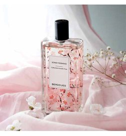 Somei Yoshino - Grand Cru Sammlung Somei Yoshino - Grand Cru Sammlung